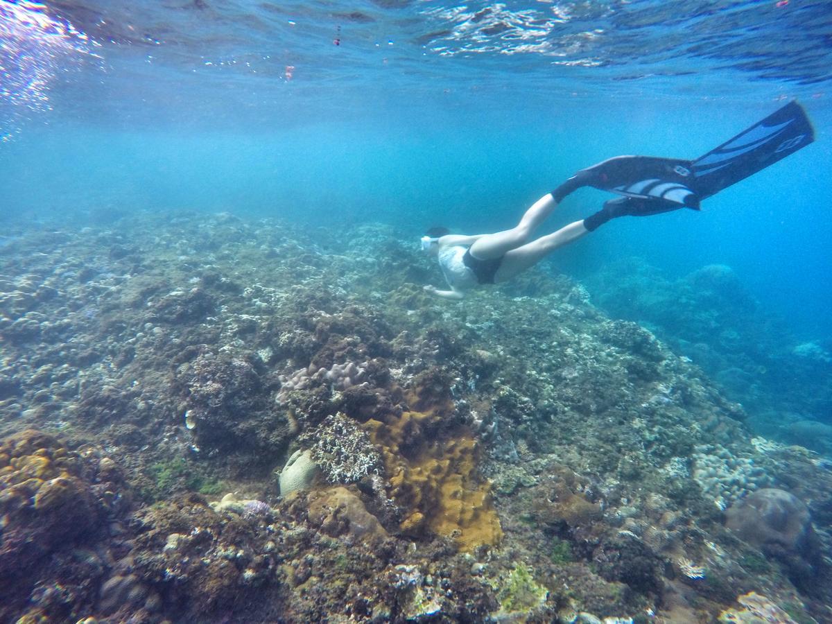 Imanuel Surfing B&B ย่านเมืองเก่าเฮ้งชุน ภายนอก รูปภาพ